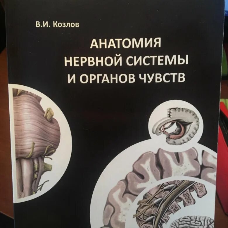 Методички по анатомии. Анатомия методичка. учебно-методическое пособие по анатомии. методички по анатомии органы.