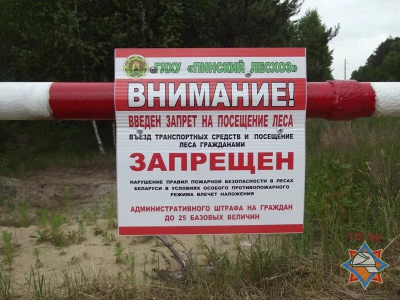 Запрет в лесах беларуси. Посещение лесов запрещено. Ограничение посещения лесов. Запрет на посещение лесов. Запрет на посещение лесов в Беларуси.