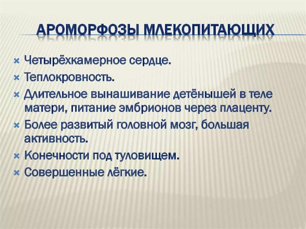 Ароморфозы млекопитающих. Класс млекопитающие ароморфозы. Перечислите ароморфозы млекопитающих. Крупные ароморфозы млекопитающих.