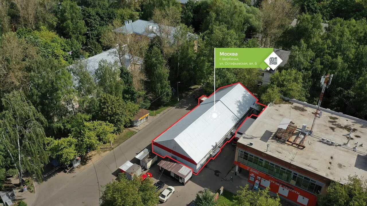 Щербинка остафьевская. Г. Щербинка остафьевская. 4. 4.