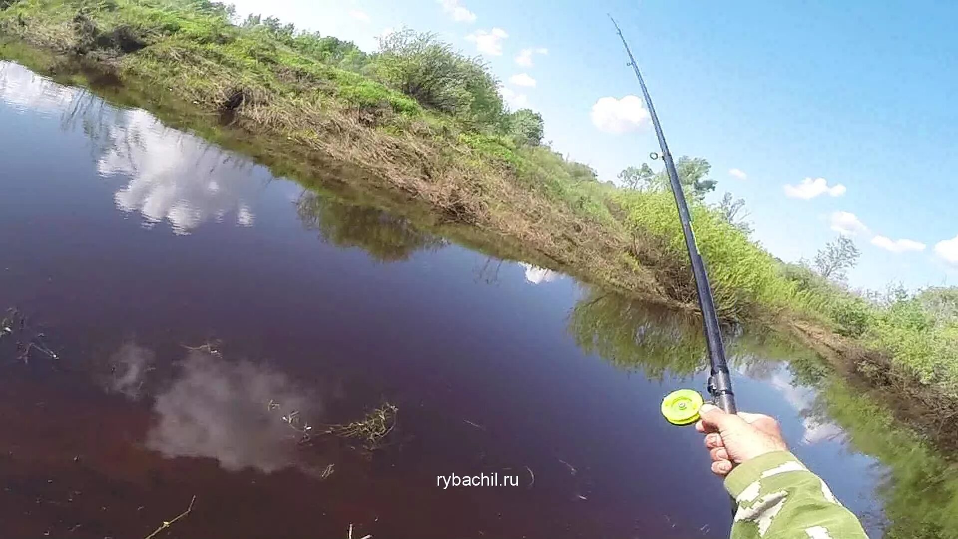 Ловля на течении видео