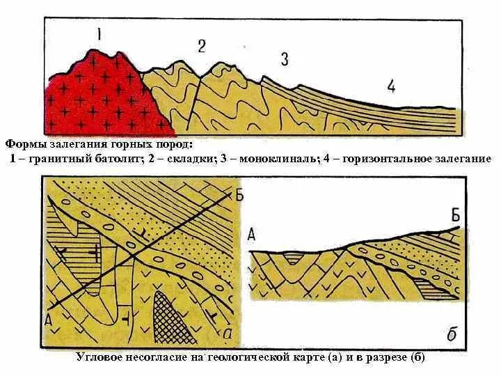 Форма залегания породы. Формы складок горных пород моноклиналь. Формы залегания осадочных горных пород Геология. Первичные формы залегания осадочных пород. Горизонтальное залегание осадочных горных пород.