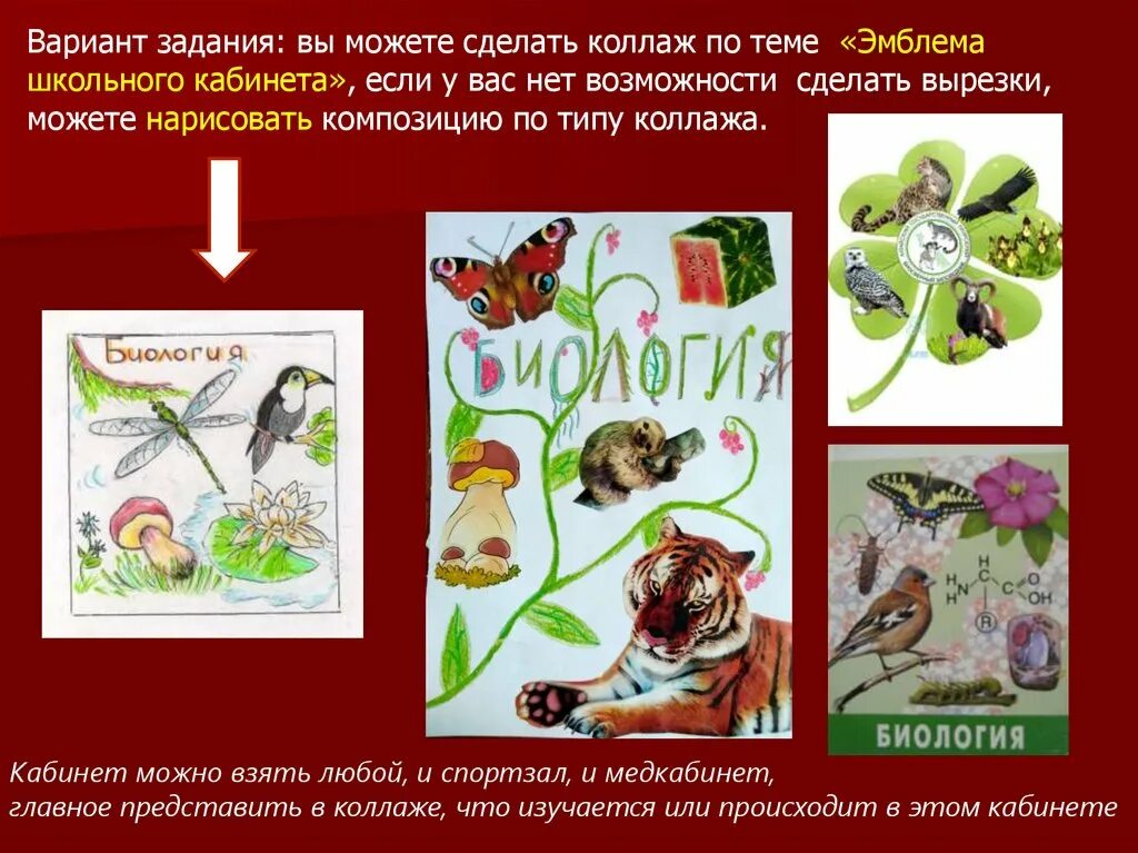 Коллаж определение. Коллаж по биологии. что такое коллаж определение для детей. коллаж для презентации. коллаж это определение кратко.