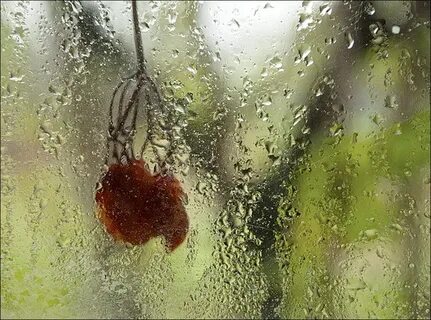 Дождь смысл