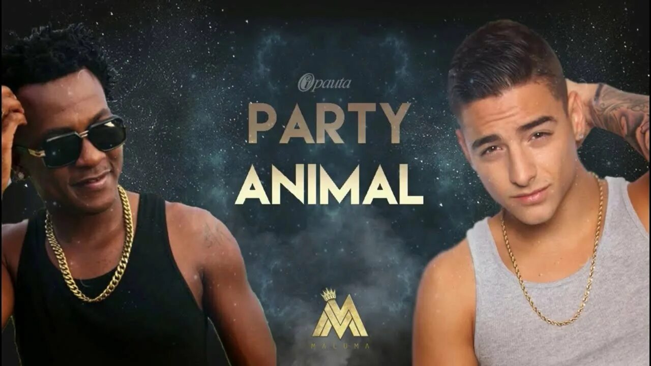Chinko. Патианималс. Малума perty. Single party. Party animals!.