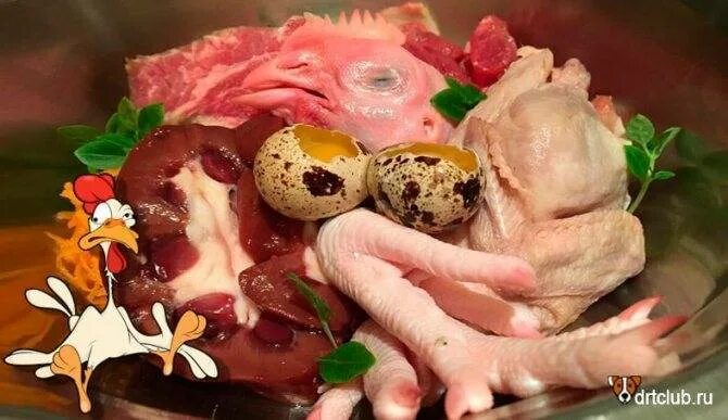 Можно собакам давать курицу