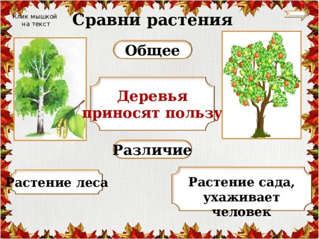 Приведите примеры дикорастущих и культурных растений Культурные и дикорастущие растения