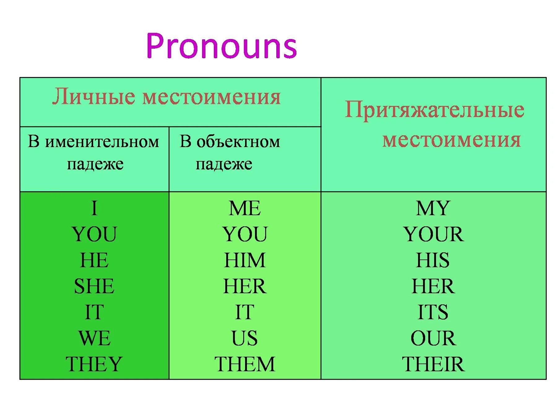 Предложения связанные притяжательными местоимениями