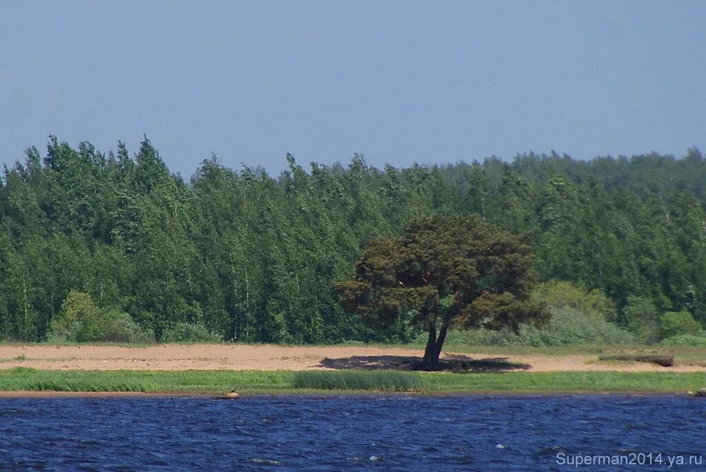 Село Устье Вологодская область. Усть-кубинский район Вологодской области. Устье (Усть-кубинский район). Усть Кубинка Вологодская область.