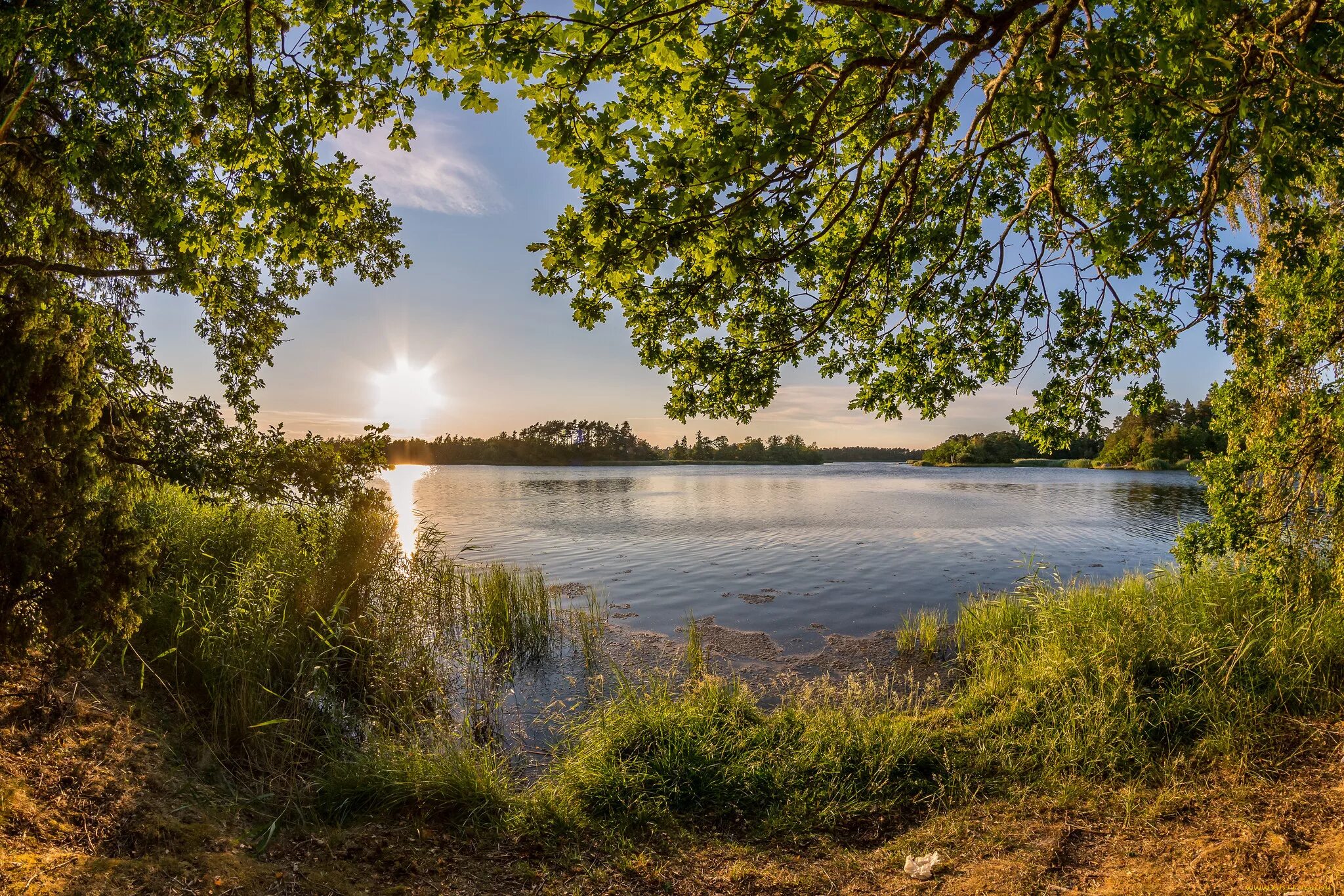 Природа Нижегородской области. Пейзажи Нижегородской области. Утро на озере. Нежная природа река. Летнее утро на озере