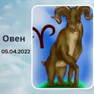 Козерог в год быка