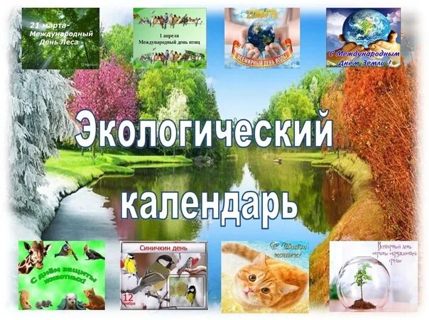 Календарь экологических праздников Праздники и памятные даты ВКонтакте