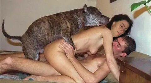 Cold F. reccomend Slut fucks kanine. 
