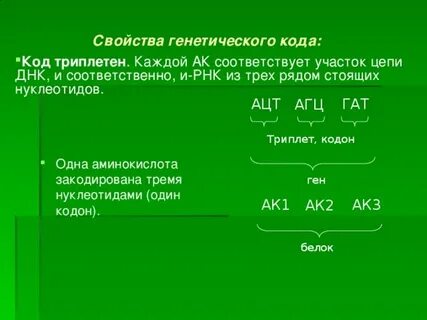 Одна аминокислота кодируется