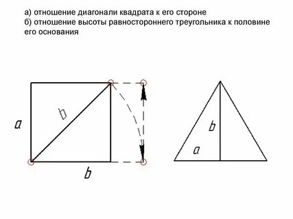 Чему равна половина 1 стороной