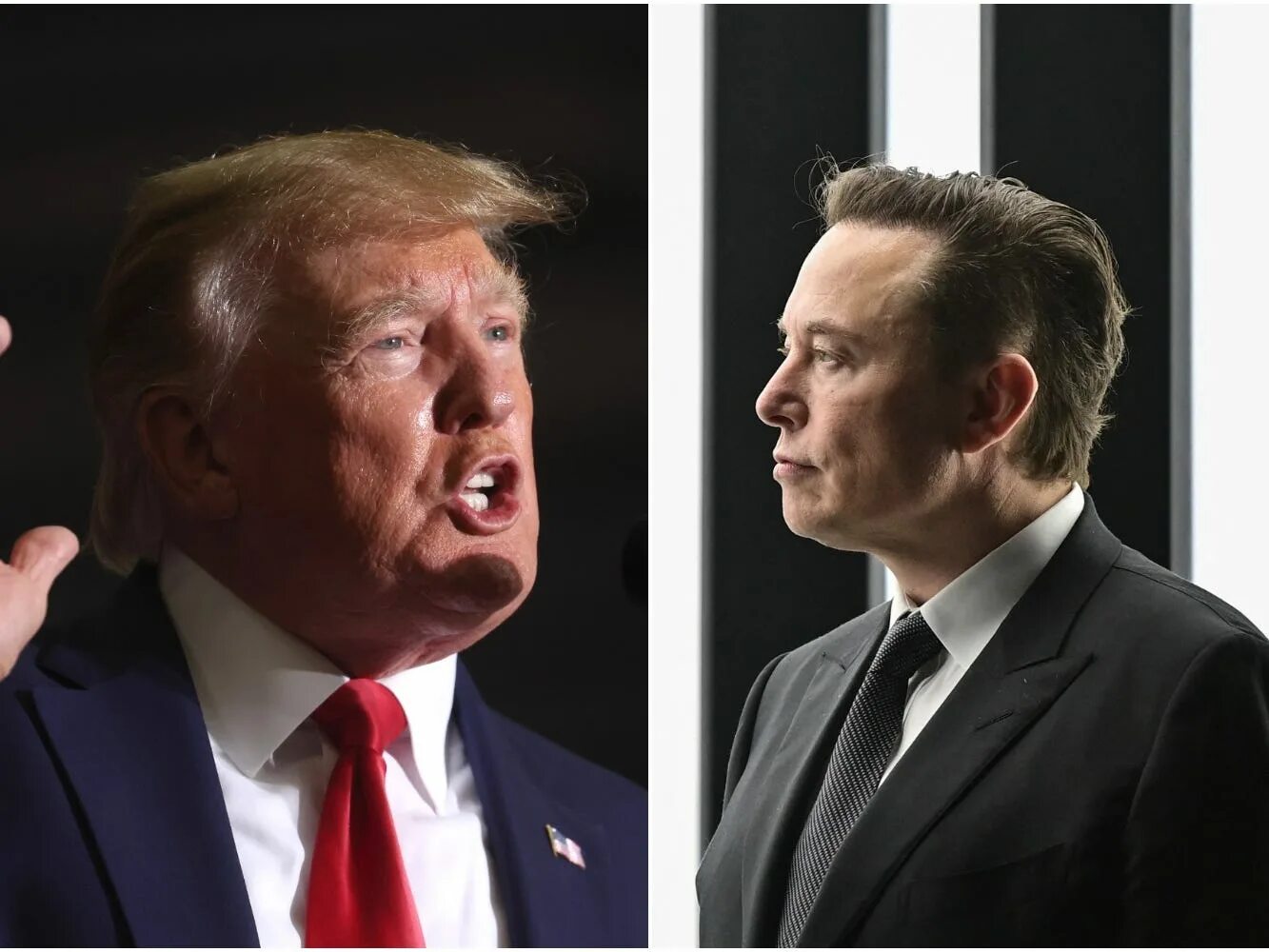 Илон маск и трамп. Маск и трамп. трамп молодой.