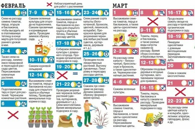 Лунный календарь огородника на 2023 год. Календарь садовода и огородника на 2023. Лунный календарь садовода и огородника на 2023. Календарь садовода и огородника на 2023 год. Лунный календарь огородника на март 2024 беларусь