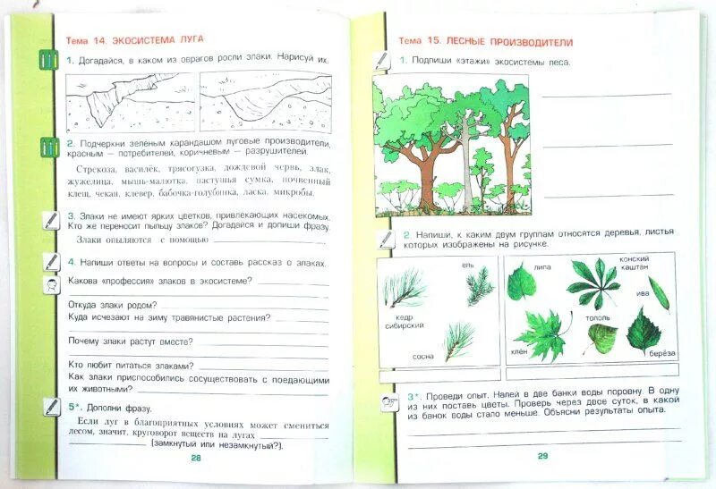 Задания по окружающему природному миру. Иллюстрации из рабочей тетради окружающий мир. Рабочий лист в школе окружающий мир. Окружающий мир начальная школа задания. Общество 3 класс рабочий лист