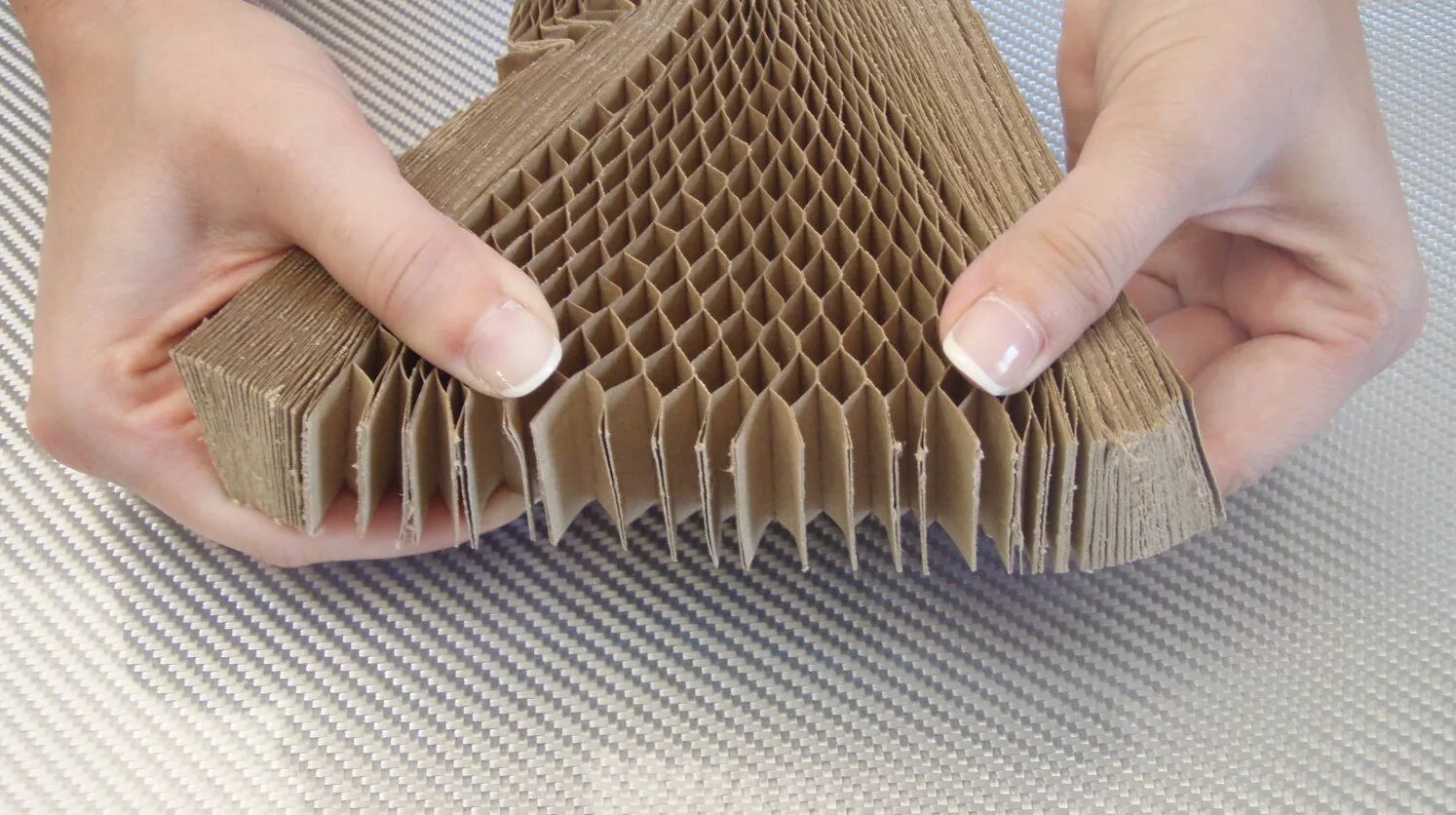 где взять соты. соты пчелиные. открытый расплод пчел. 18. L386 сом медовые соты.