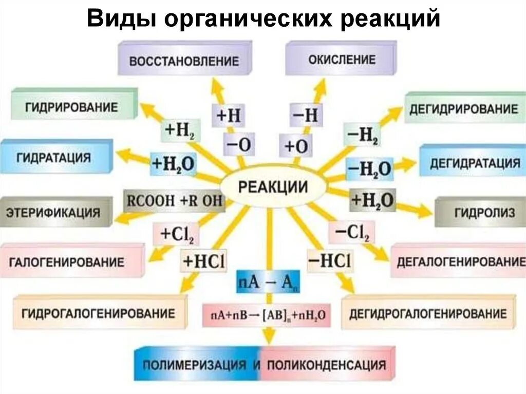 Классификация реакций в органике. Реакции органических соединений. Классификация реакций в органической химии. Типы химических реакций в органической химии. Задания на органические реакции