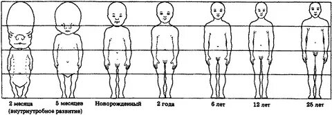 Период роста человека