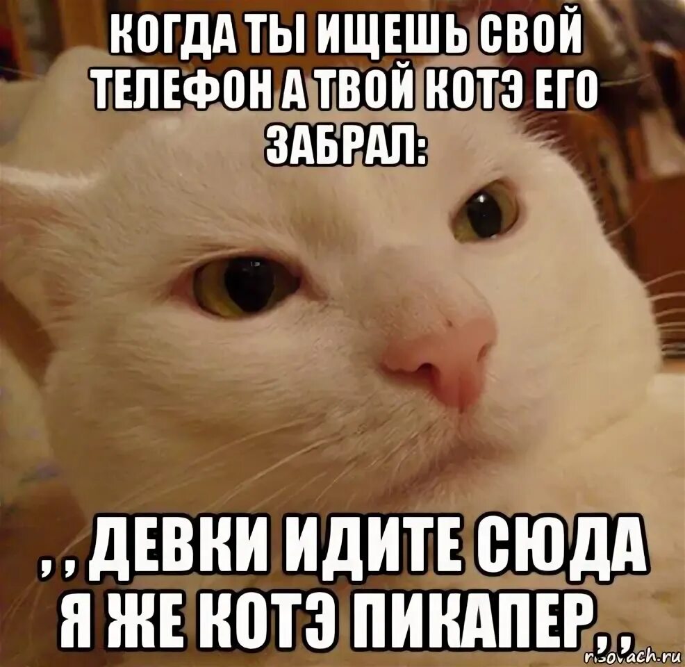 Иди сюда женщина. Ты бичара. Красивая но тупая. Девушка иди сюда. Девушка иди сюда.