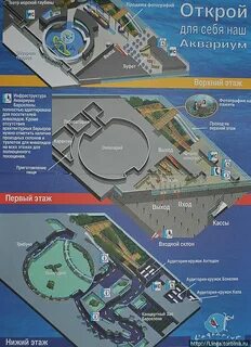 Океанариум как добраться на метро