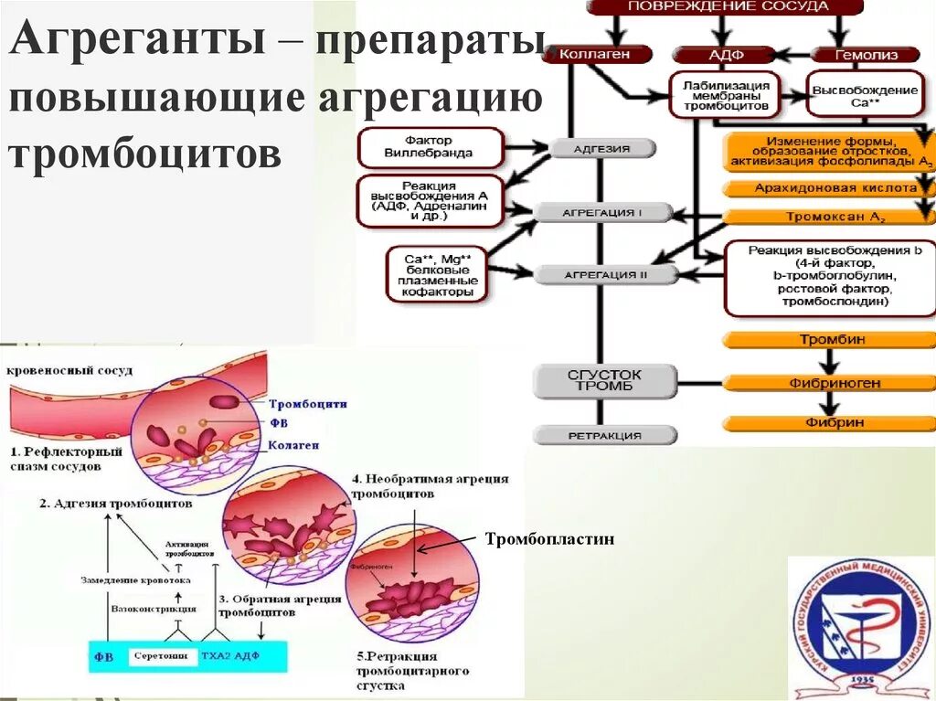 Лекарства повышающие тромбоциты в крови. Препараты стимулирующие агрегацию тромбоцитов. Агрегацию тромбоцитов снижают препараты. Препараты повышающие агрегацию тромбоцитов. Уменьшает агрегацию тромбоцитов препарат.