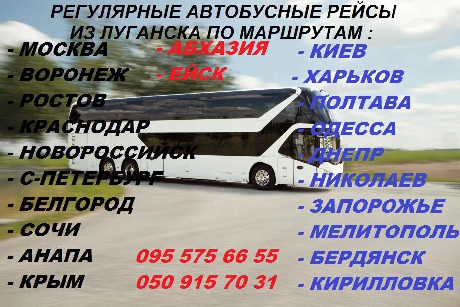 Автобус Москва Ейск. Автобус Москва-Ейск расписание. Автобус Москва Бердянск. Автобус Луганск Ейск.