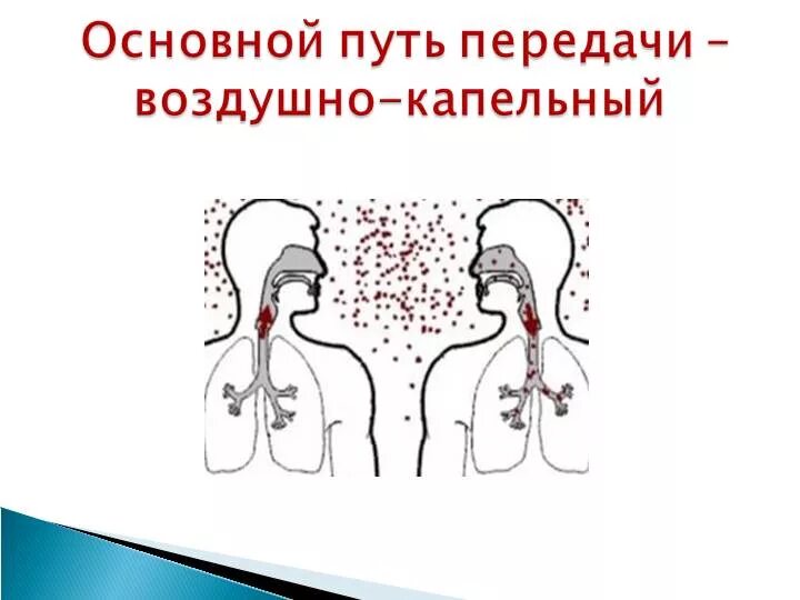 Легко передается воздушно капельным. Воздушно капельный способ передачи инфекции. Воздушно-капельный путь. Воздушно-капельный путь картинки. Краснуха пути заражения.