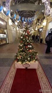 Новогодняя елка в москве 2023