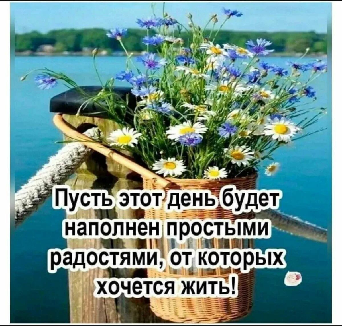 Пусть утро принесет добро. Счастья в новом дне. Пожелания на весь день. Позитивные пожелания на каждый день. Пусть этот день принесет тебе только радость и хорошее настроение.