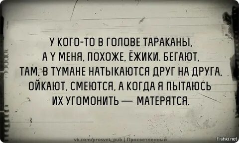 Таракан анекдот