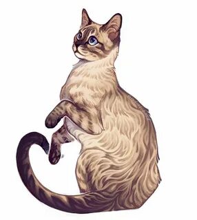 Кошка рисунок
