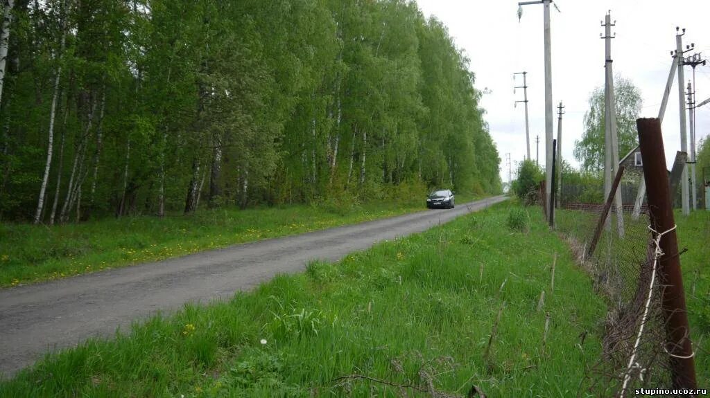 Борисова грива озеро. Углово (деревня, Всеволожский район). Ириновка Борисова грива. Озеро в Бабино. Подъезжая к лесу увидел он