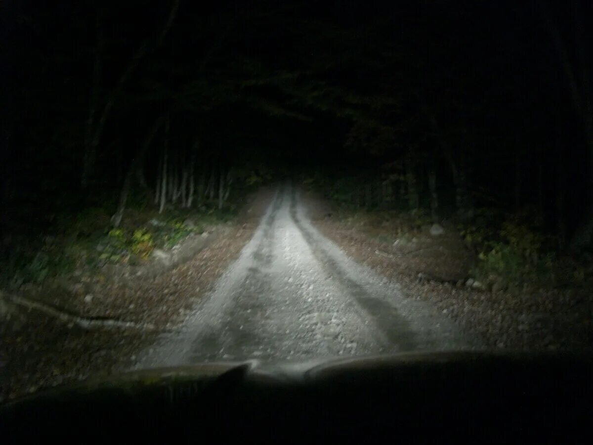 Страшное существо на дороге ночью. Дорога ночью. Лесная дорога ночью.