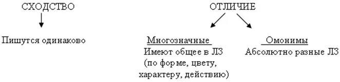 Прочитайте в чем сходство и различие слов. Омонимы и многозначные слова. Отличие многозначных и омонимов. Омонимы и многозначные слова различия. Многозначные слова и омонимы отличие.