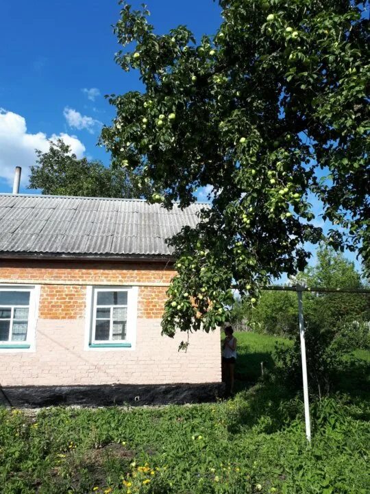 Поселок товарковский богородицкий тзва. Товарковский тульская область. Поселок дружба сцена. Погода в товарковском районе. Поселок товарковский богородицкий тзва.
