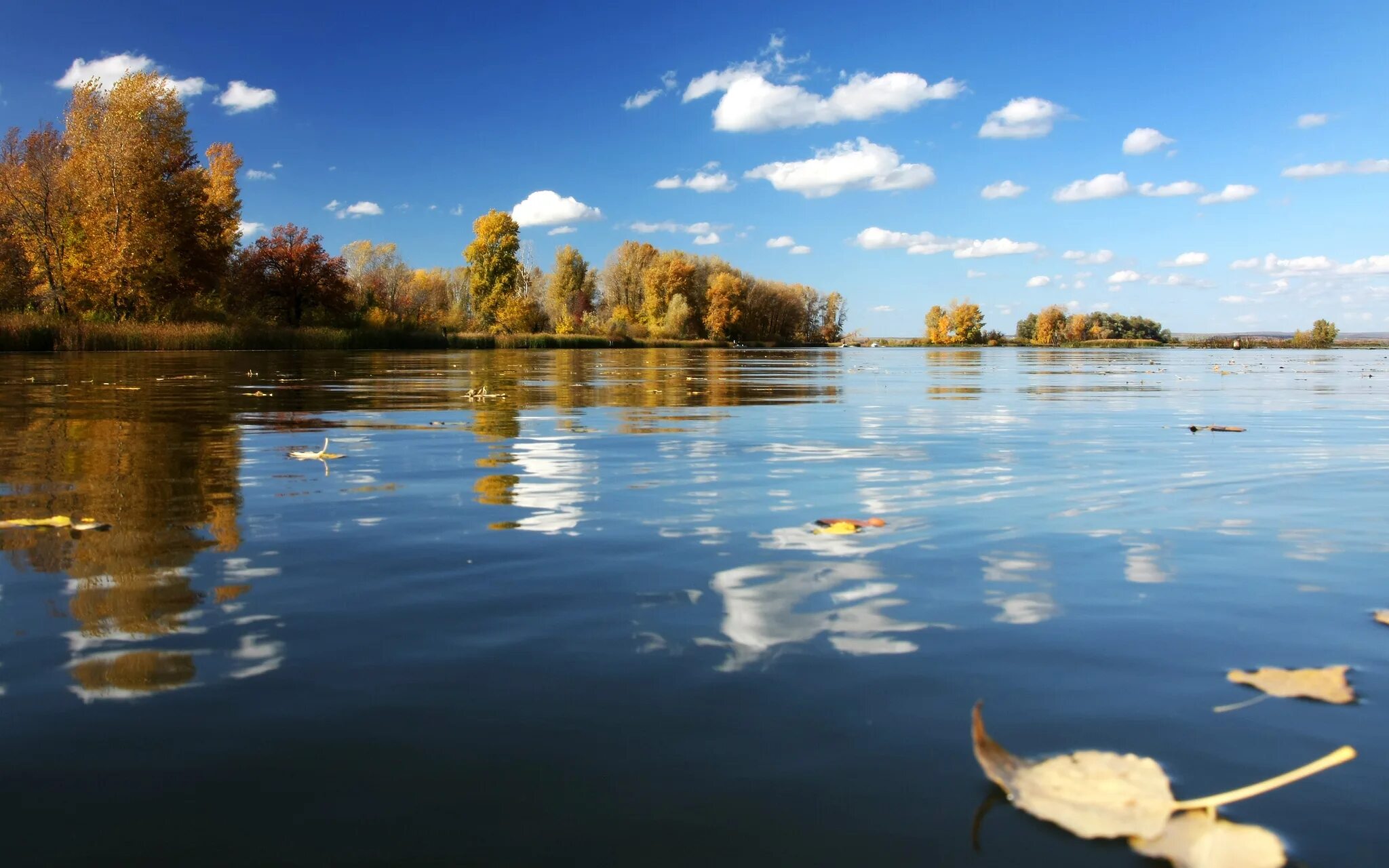 Вода в реке волга в самаре. Природа Самара река Самарка. Волга Самара река озеро. Валдайское озеро. Озеро Тобол Кушлы.