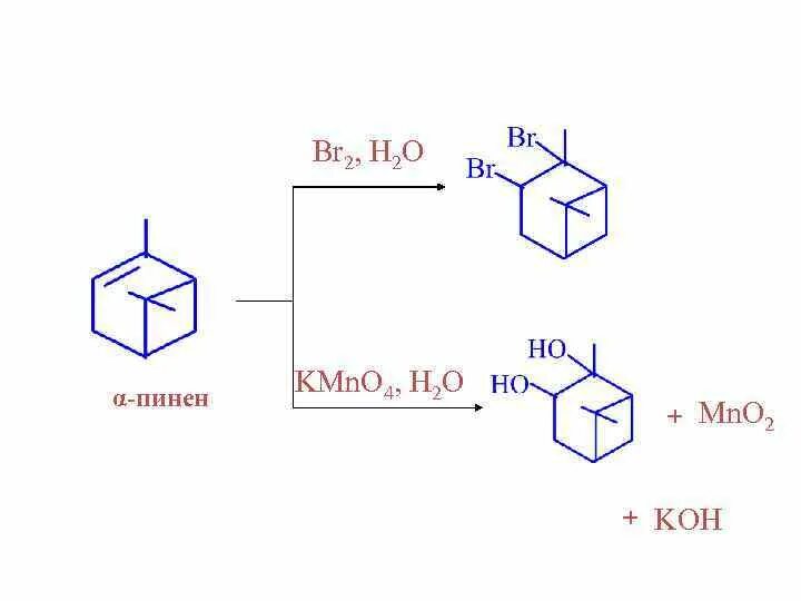 Пинен это. Пинен. Α-пинена. Пинен 4. Пинен + h2so4.