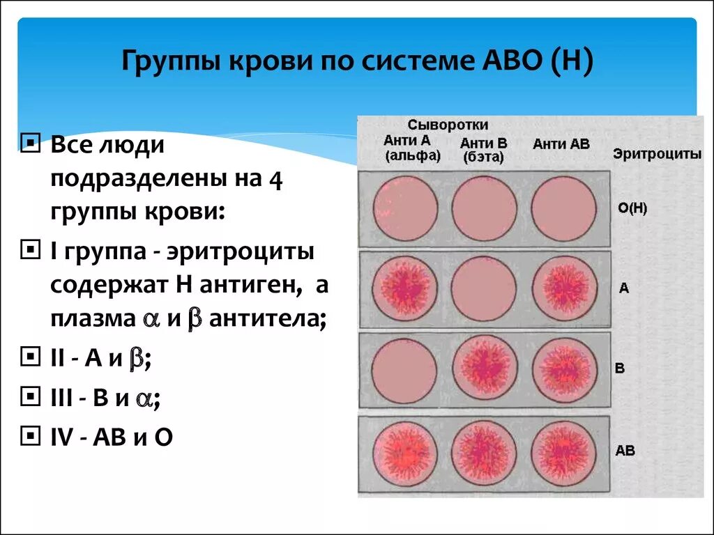 Как записать группу крови. Классификация групп крови человека. Группа крови. Группы крови таблица. Группа крови табы.