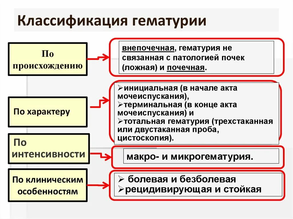 Симптомы гематурии является. Симптомы гематурии является