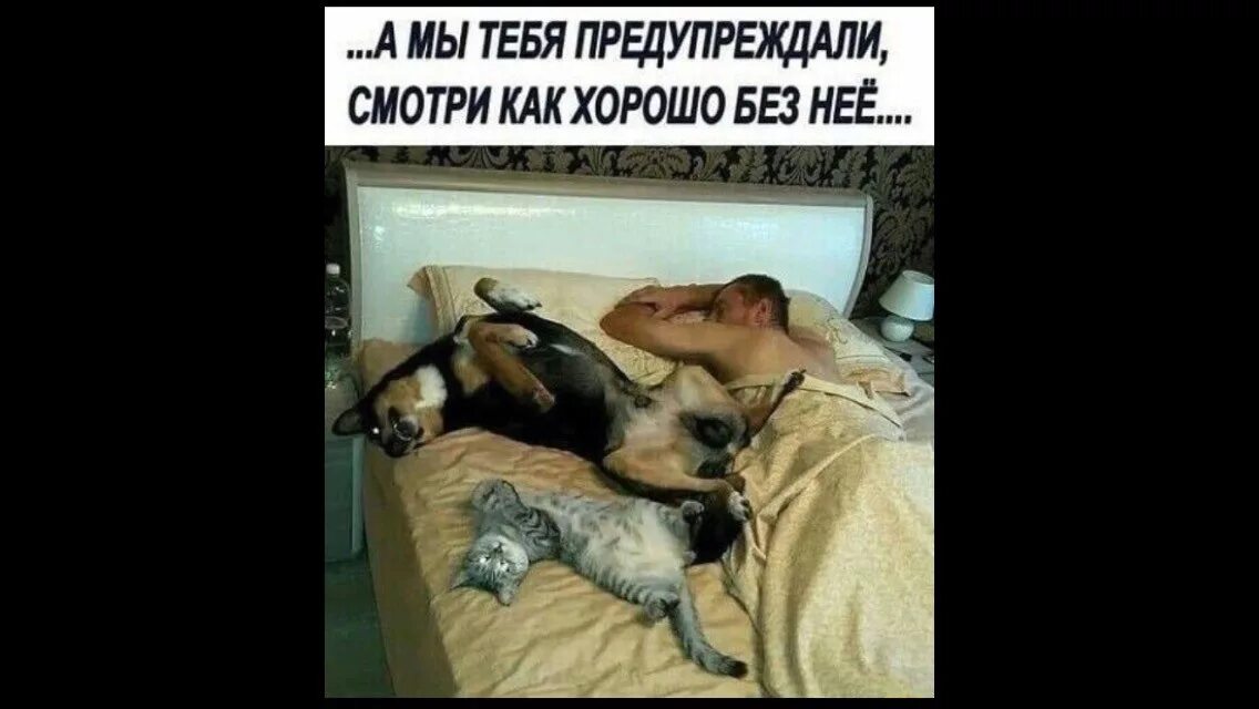Мне хорошо без нее как то странно. Мы тебя предупреждали. а мы тебе говорили что без нее лучше.