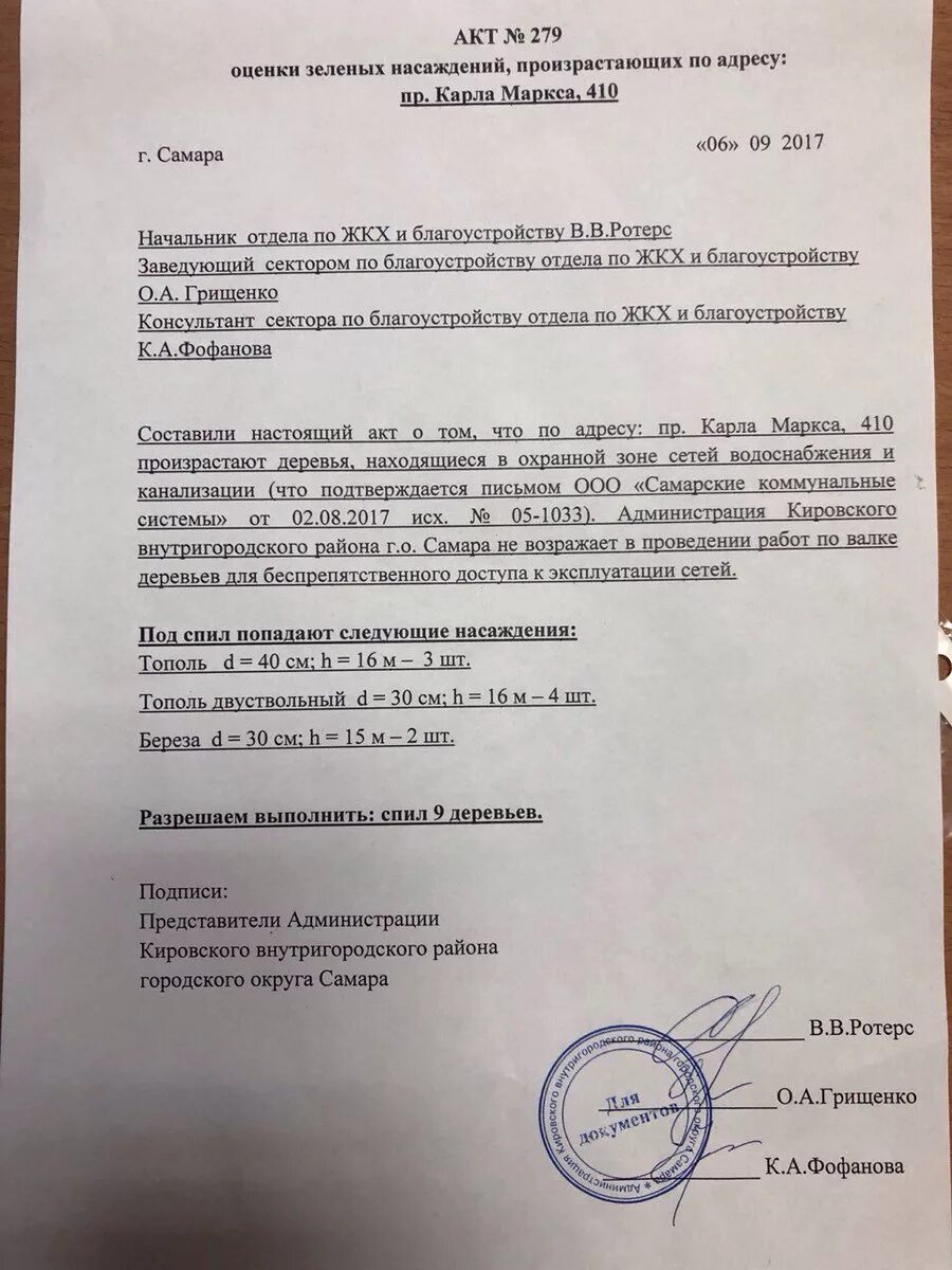 Заявление на спил деревьев образец. Разрешение на спил деревьев образец. Акт на вырубку деревьев. Разрешение на спиливание деревьев. Коммерческое предложение на спил деревьев.