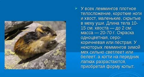 Лемена про