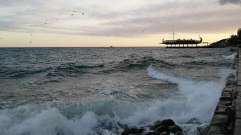 Вода в черном море алушта