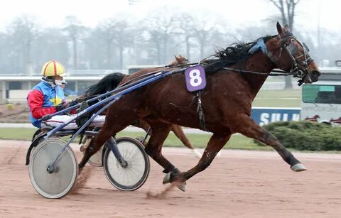 De course