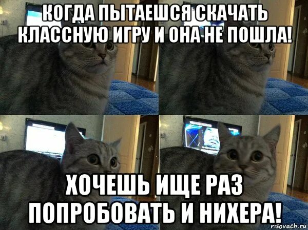Ответы Mail.ru: Где Матроскин бутерброды находит