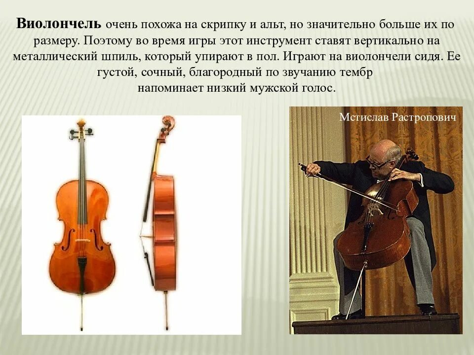 Как называется смычковый инструмент. Альт струнные смычковые. струнные смычковые инструменты альт. струнно смычковые инструменты 4 класс. виолончель струнные смычковые.