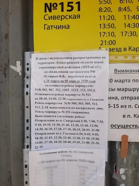 Расписание 529 автобуса коммунар сегодня. Расписание автобусов Гатчина Сиверская 151. Расписание маршрутки 151 Сиверская Гатчина. Расписание 151 автобуса Гатчина. Расписание 151 Сиверская Гатчина.